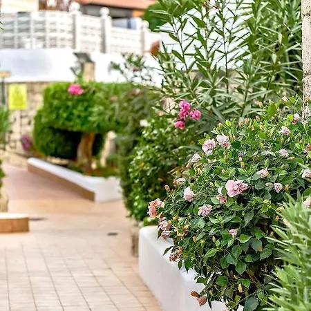 Las Americas 11pro3 Apartment Arona (Tenerife)